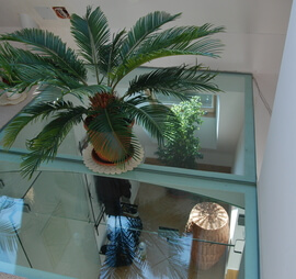 Schody i podogi szklane